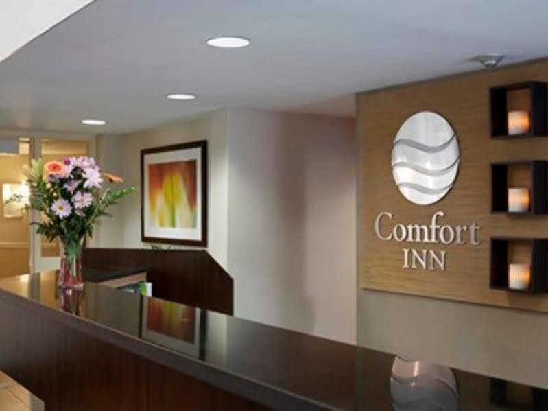 Comfort Inn Swift Current Exterior photo